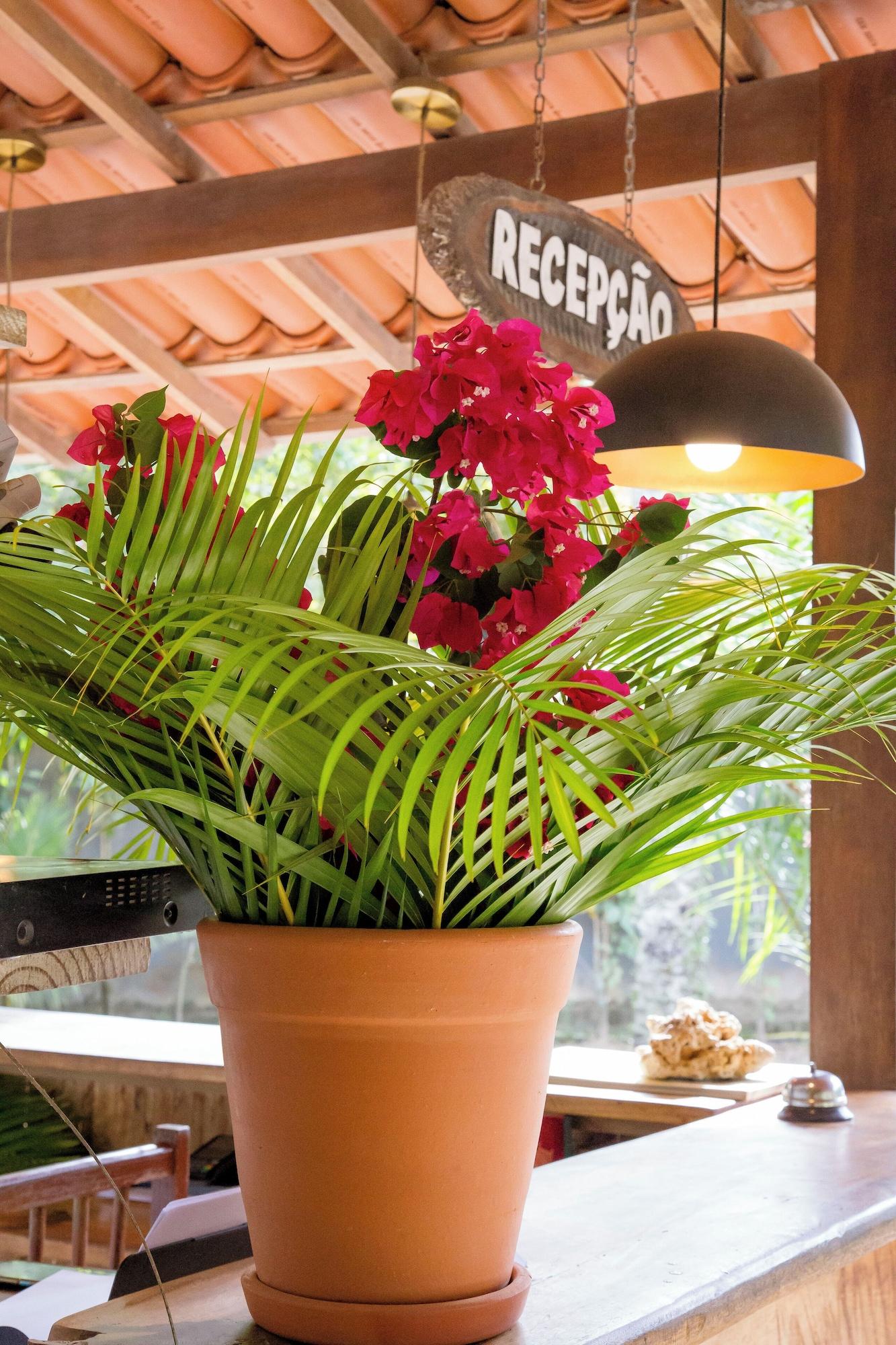 Vista Lobby Pousada Suites Nativas