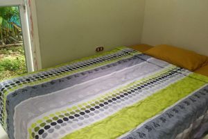 Alojamiento - Green Jungle Hotel y Restaurante