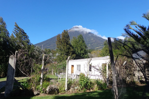 Actividad - Tour al Primer Viñedo de Guatemala con Degustación de 3 Vinos