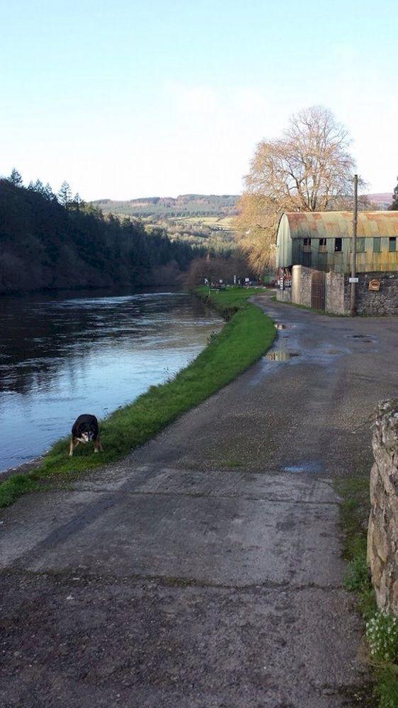 Varios Mulvarra House