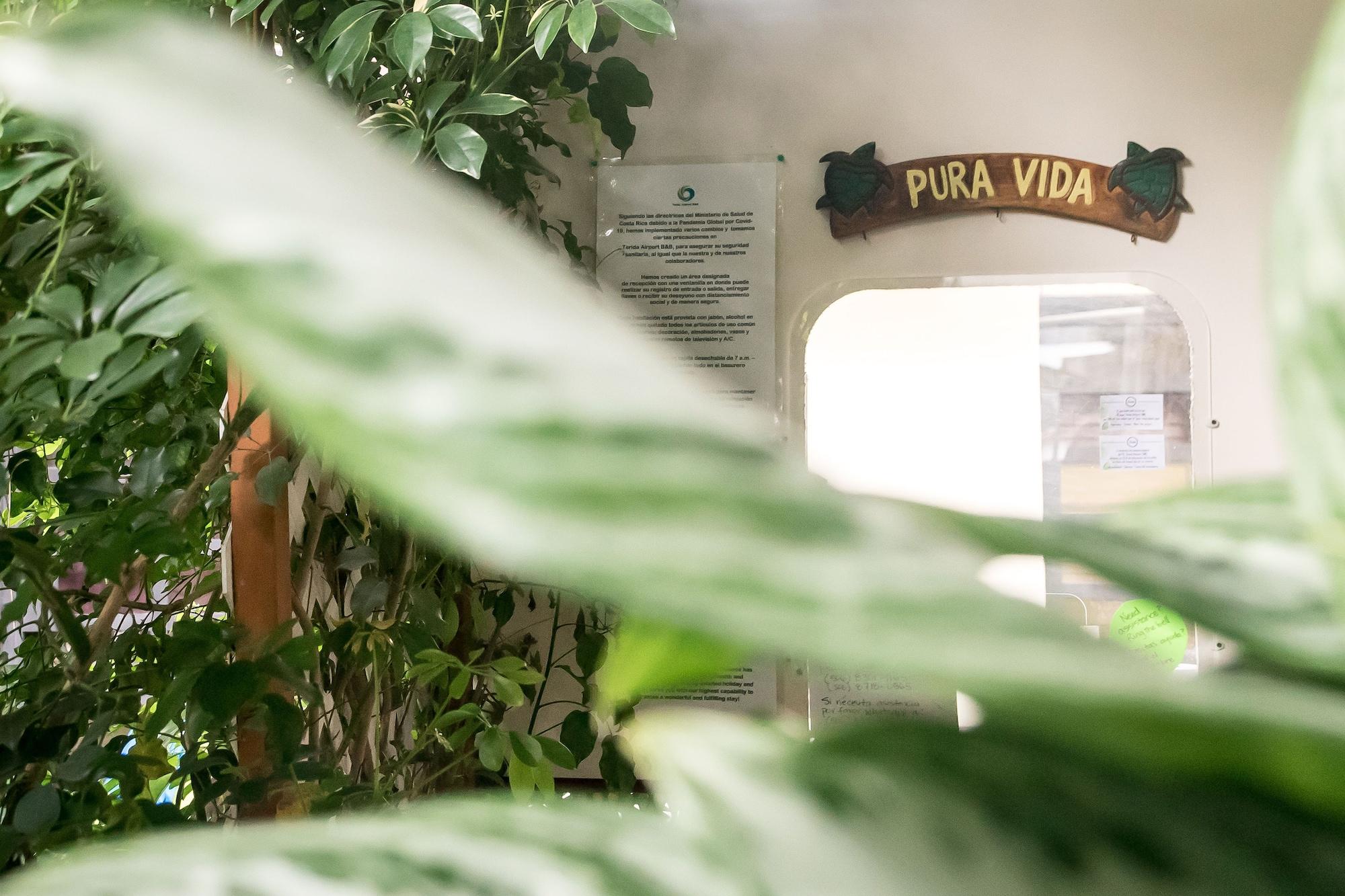 Vista Lobby Terida Airport B&B