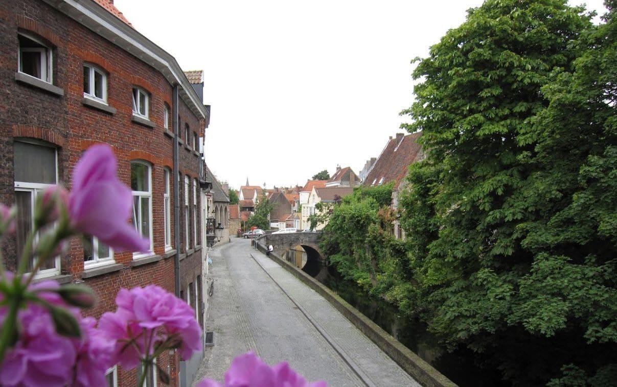 Comodidades del Alojamiento Hotel Ensor