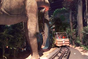 Actividad - Dinópolis