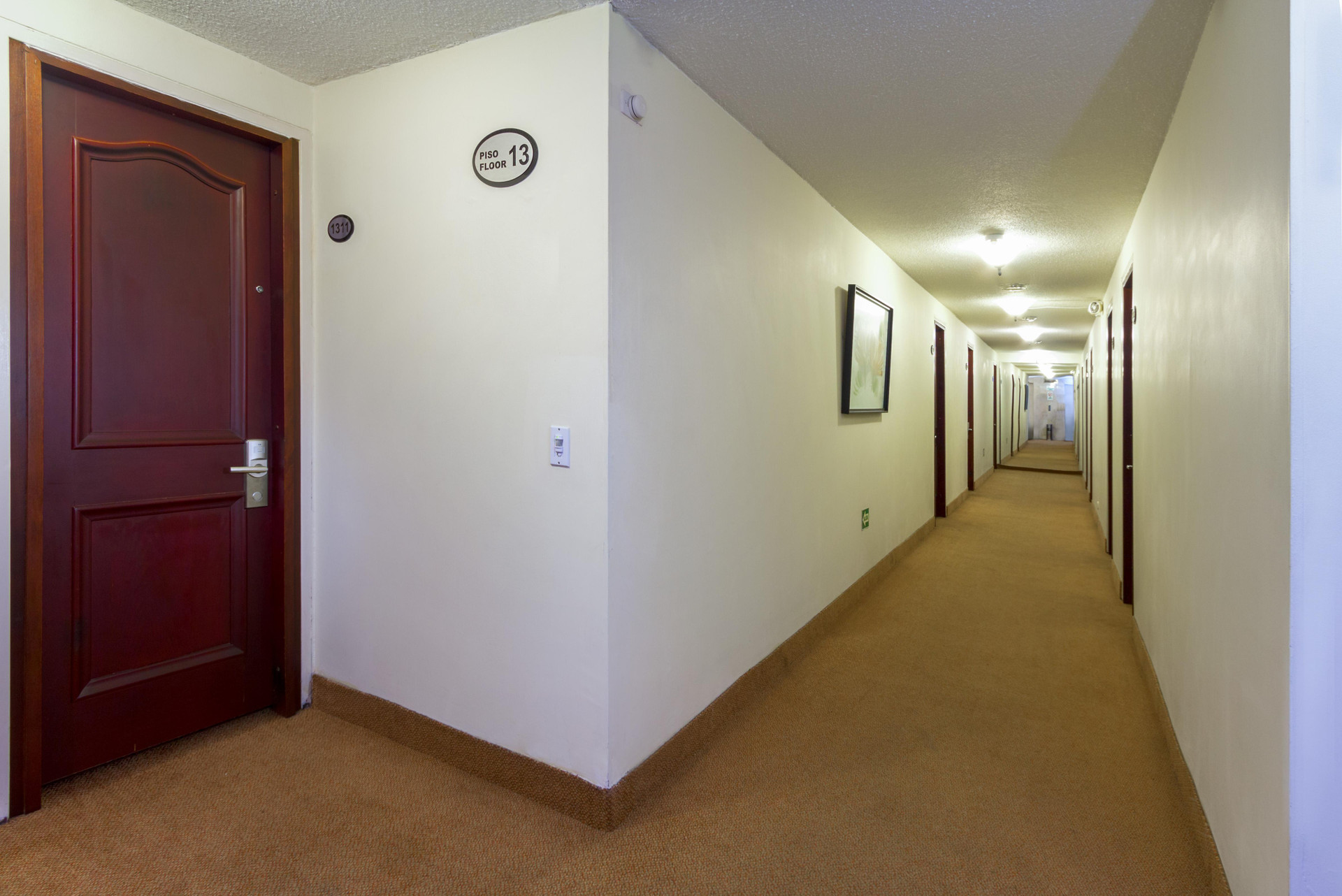Hotel Hotel Dann Avenida 19