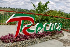 Actividad - Recuca, recorrido de la cultura cafetera