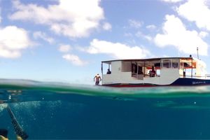 Actividad - Barco por Fernando de Noronha
