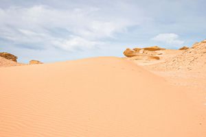 Actividad - Excursión al oasis de Fayoum