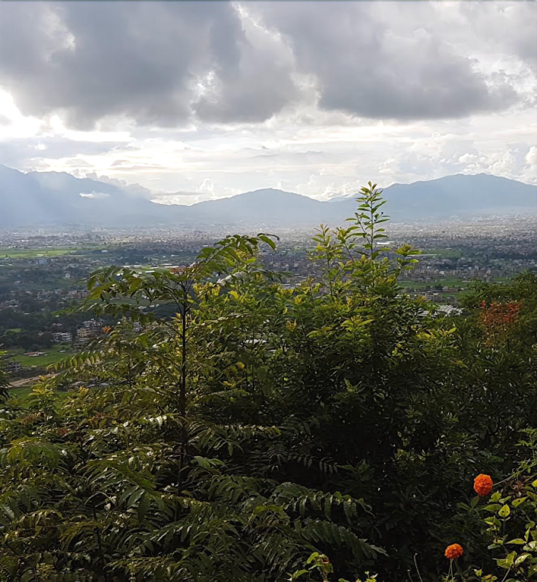 Comodidades del Alojamiento Lamatar Lodge