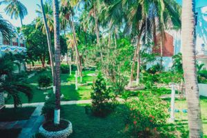 Alojamiento - Sai Rock Beach Hotel & Spa