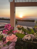 Alojamiento - Hotel São Marcos