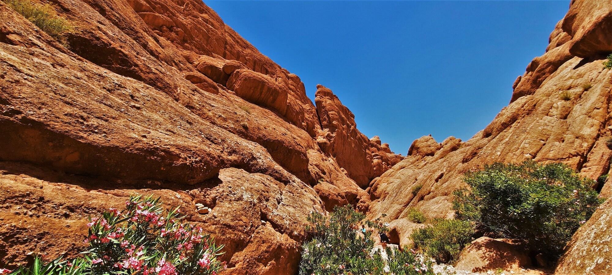 Vista Exterior Maison D'Hote Argana