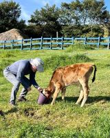 Alojamiento - Hacienda El Porvenir