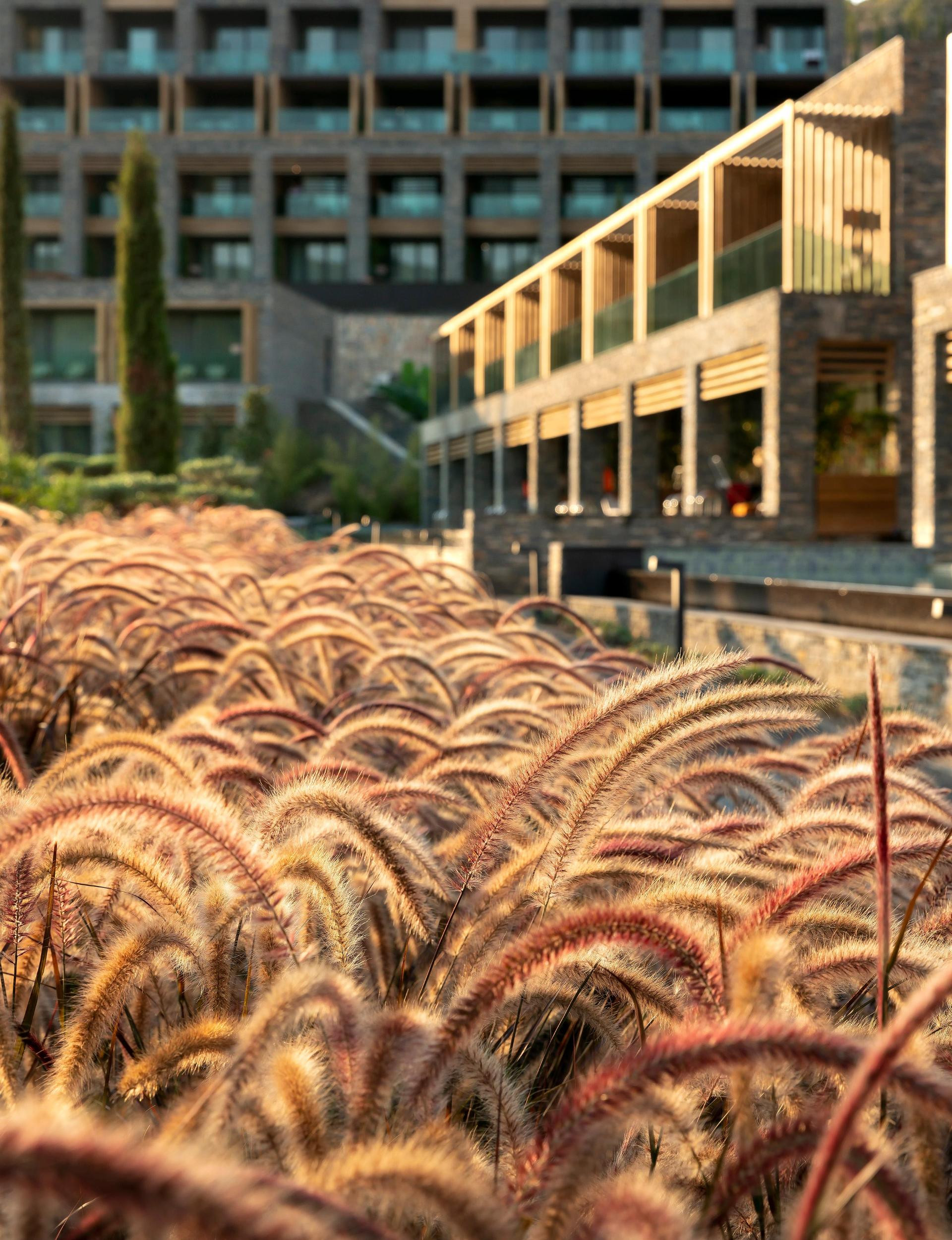 Vista Exterior Lujo Art &Joy