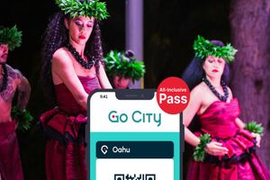 Actividad - Pase todo incluido Go City - Oahu - Acceso a más de 40 atracciones