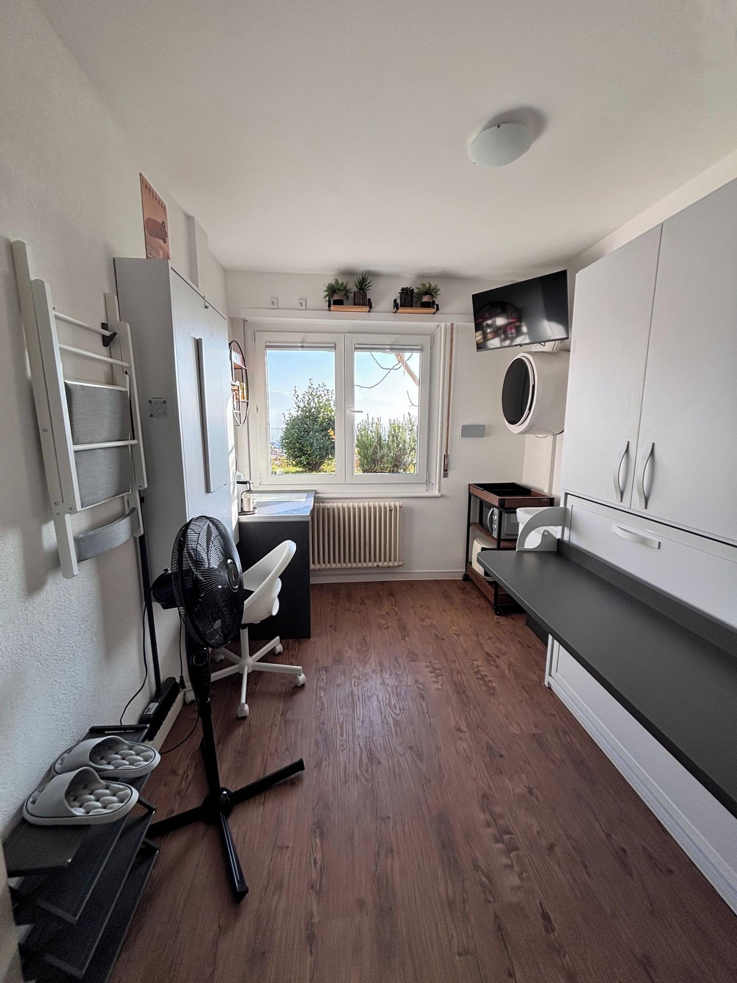 Equipamiento de Habitación Room-lake View Room in Pully With Washin