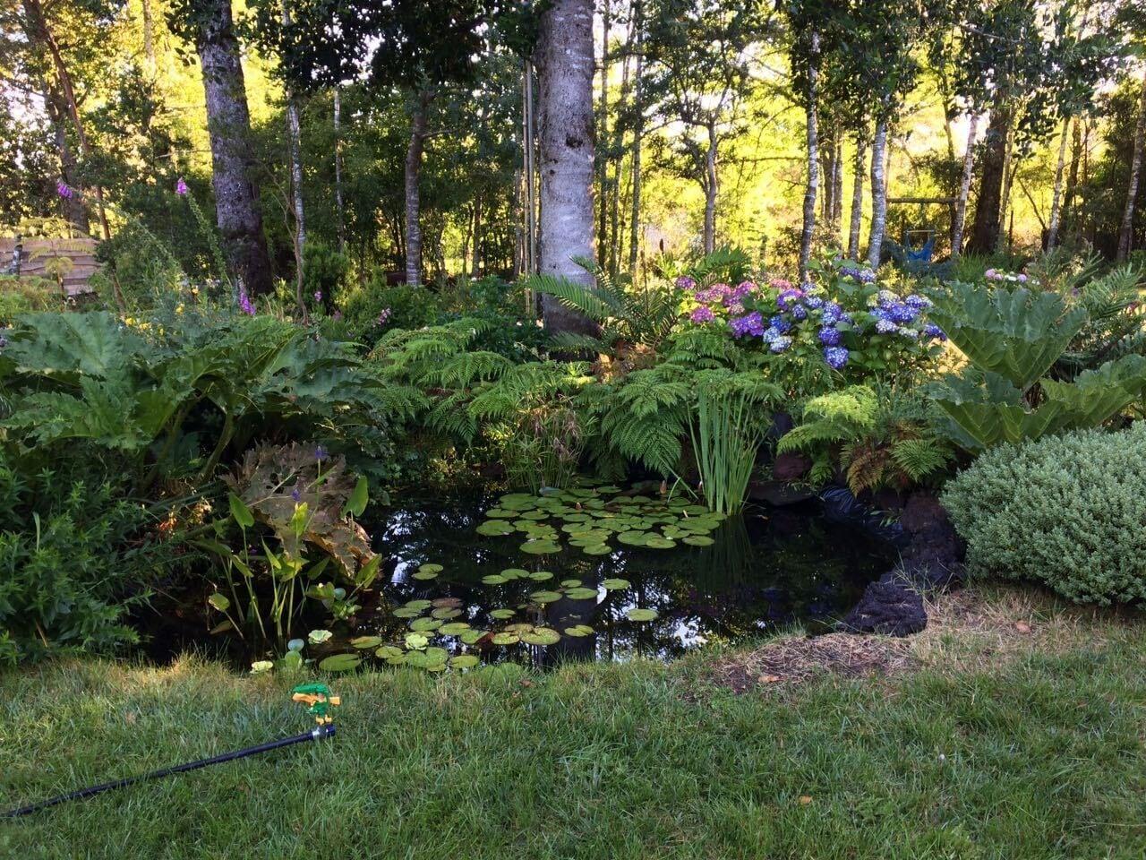 Comodidades del Alojamiento Cabañas Pucon - Caburga