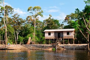 Passagem - Voos para Manaus