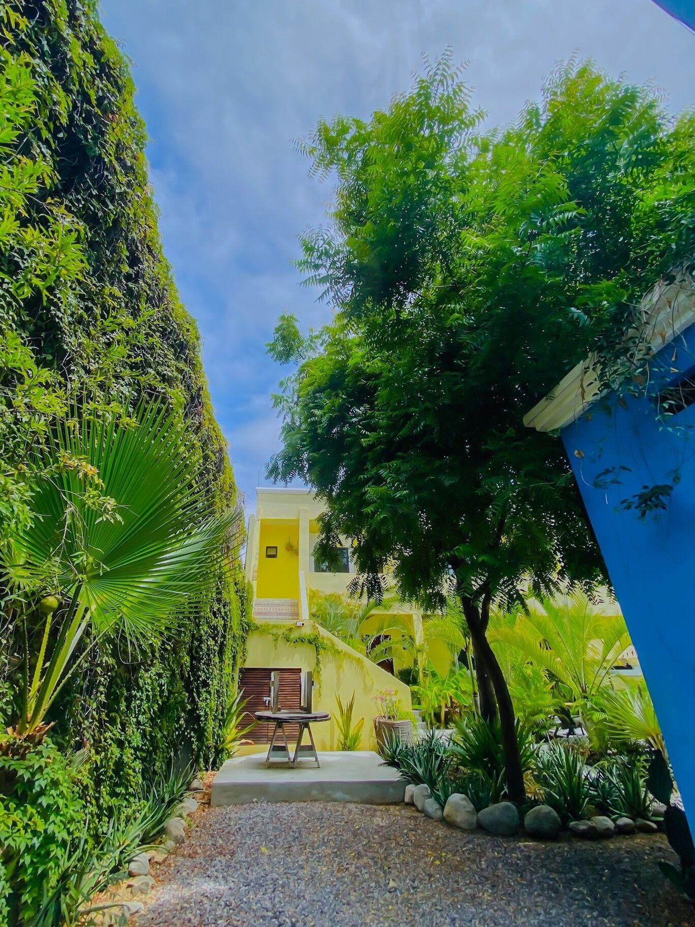 Comodidades del Alojamiento Hotel Gallo Azul Downtown Todos Santos
