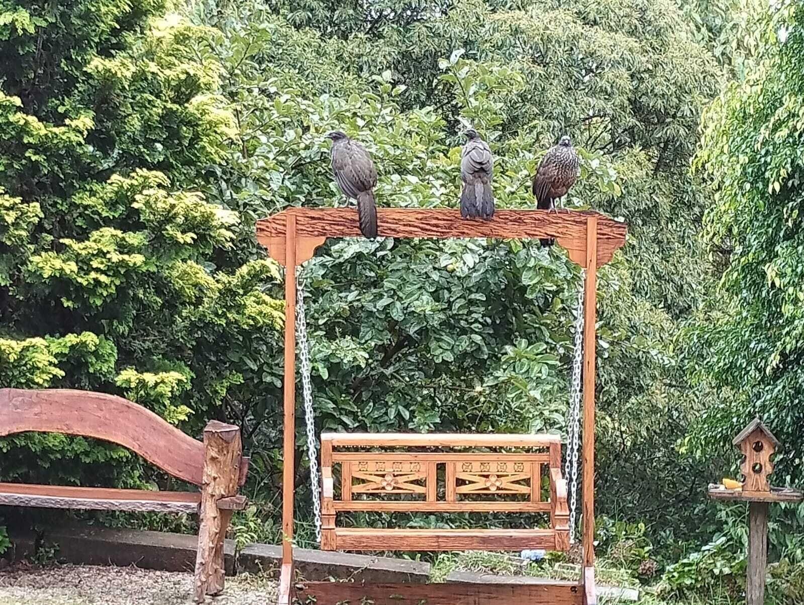 Vista Exterior Canto dos Pássaros