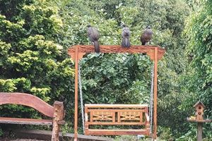 Alojamiento - Canto dos Pássaros