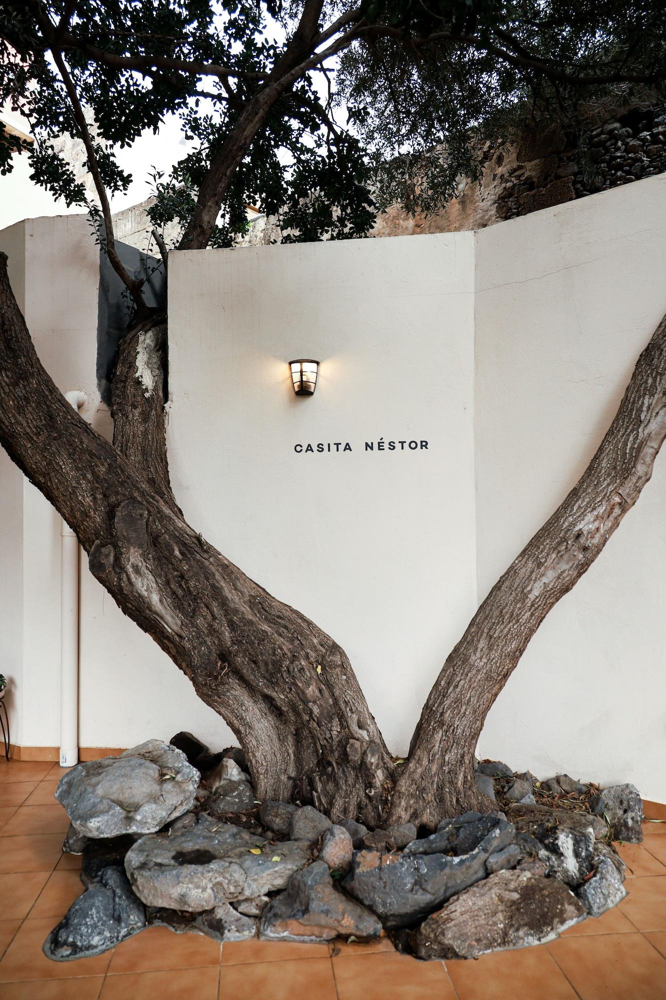 Vista Exterior Villa Nestor