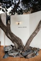 Alojamiento - Villa Nestor