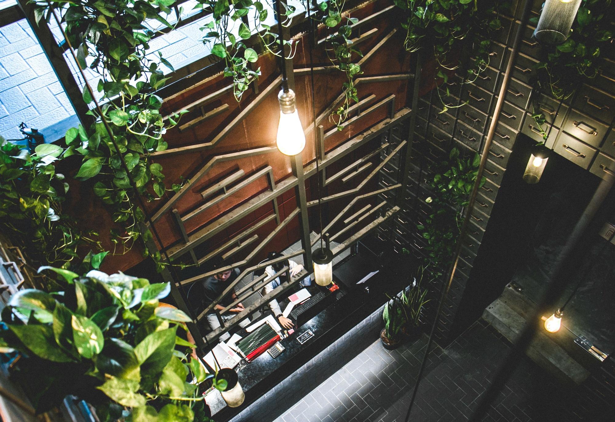 Vista Lobby Luk Hostel