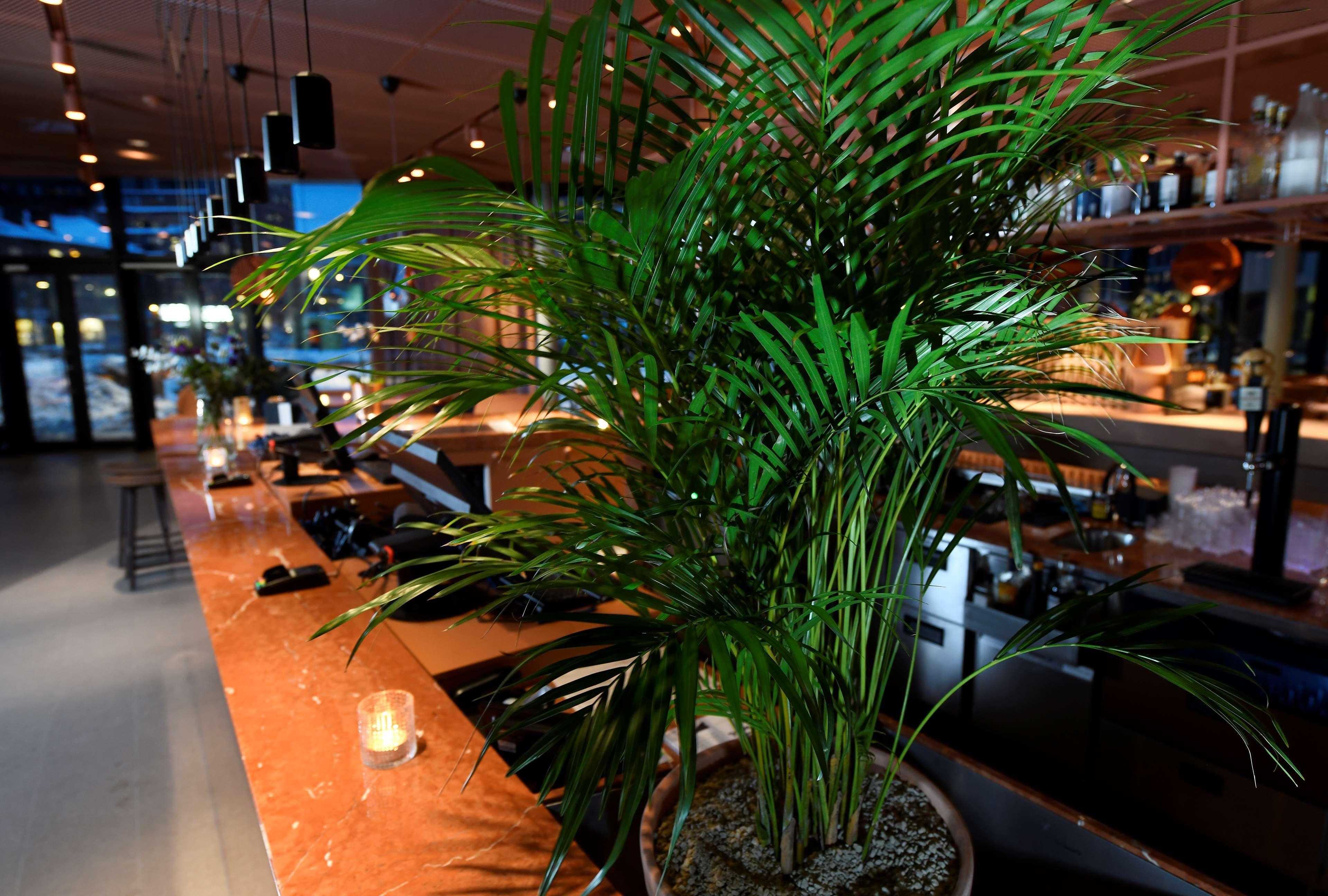 Vista Lobby Best Western Plus Grow Hotel