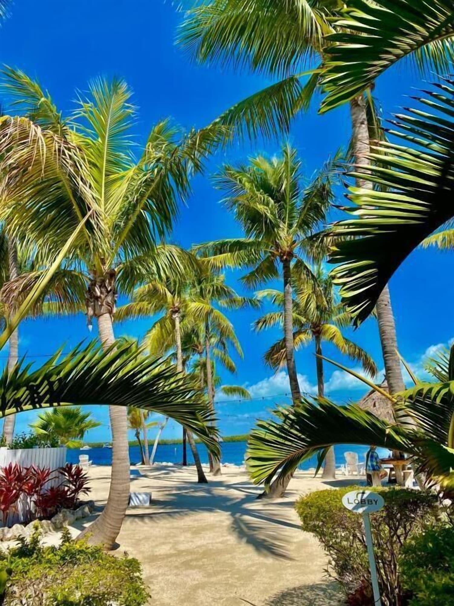 Vista Exterior Coconut Palm Inn