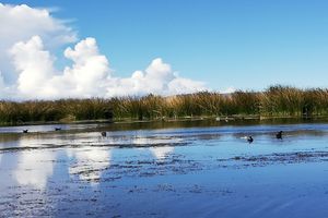 Hospedagens - Titicaca Atrion