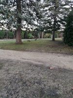 Alojamiento - Domaine de la Nerthe