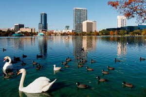 Passagem - Voos para Orlando