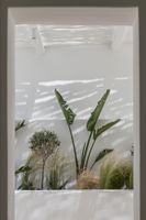 Alojamiento - Arocaria