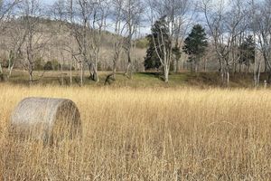 Alquiler Vacacional - Log Cabin located on the Greenbrier River in Hinton WV