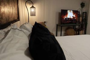 Alquiler Vacacional - Studio254: A modern and spacious studio flat