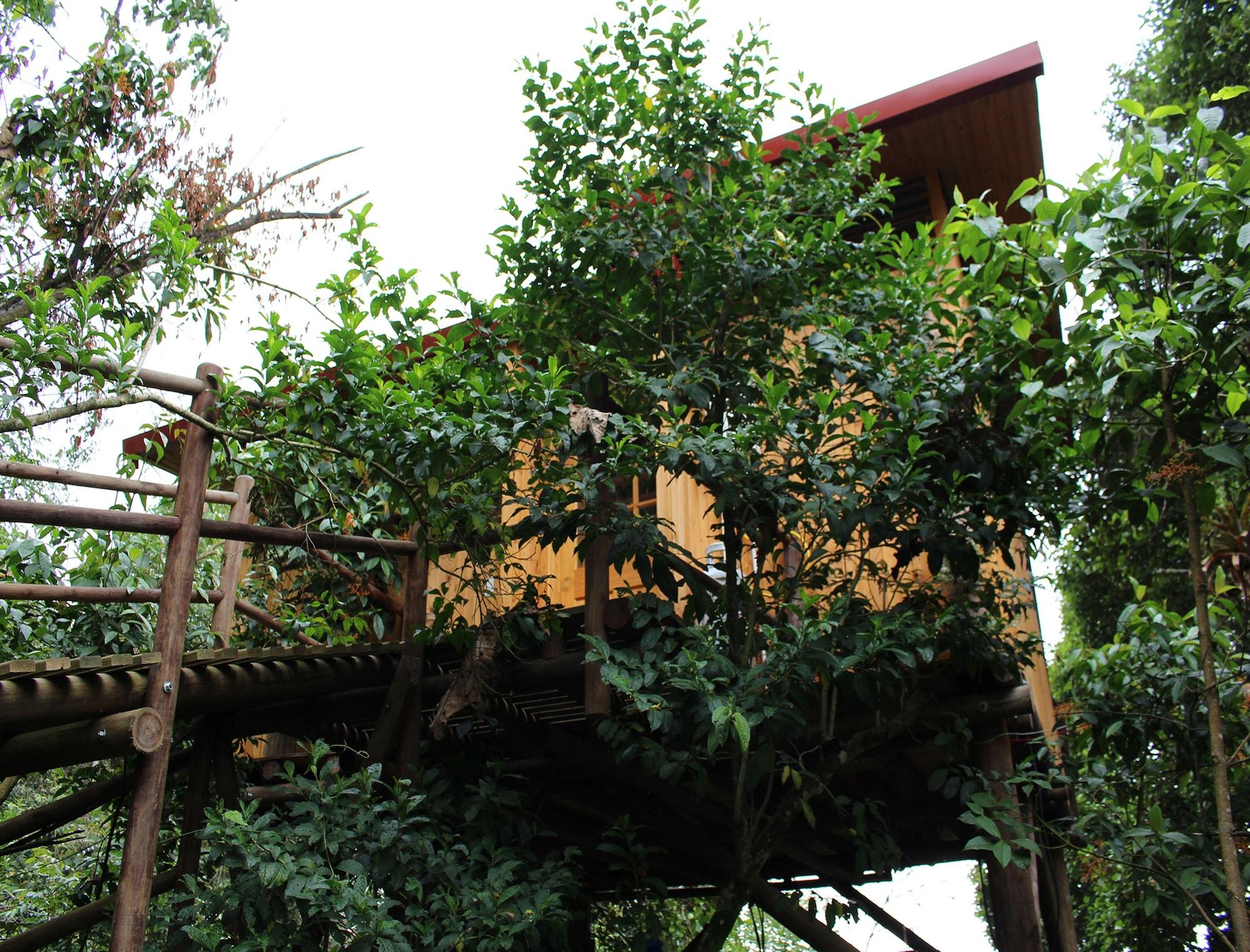 Restaurant Entre Palos Eco Refugio
