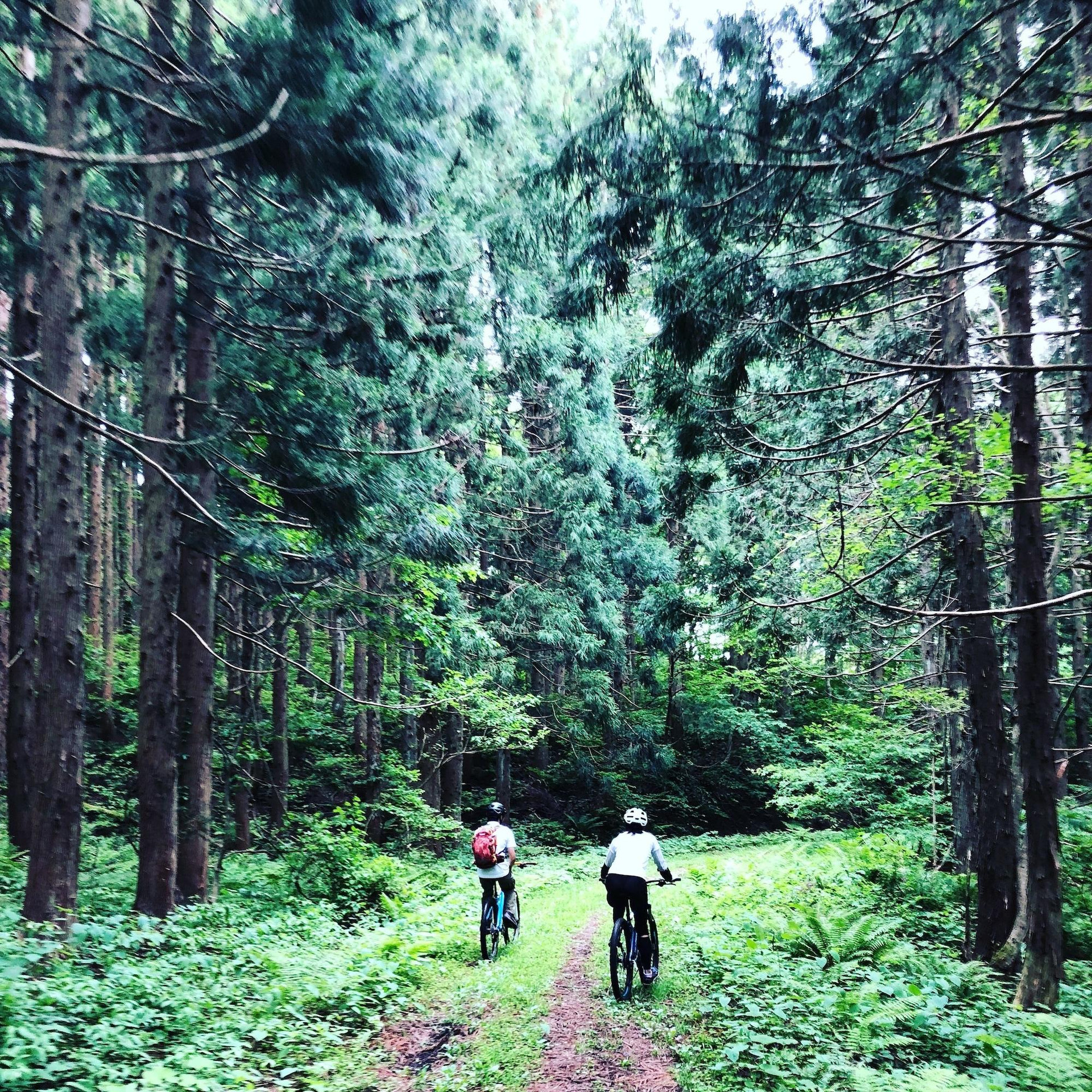 Varios The Guest House Japan Hakuba