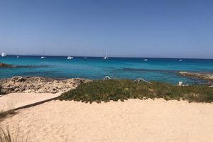 Actividad - Formentera y sus mejores playas: tour de día completo en ferri rápido con recogida opcional
