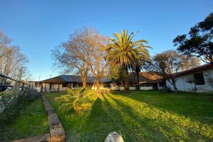 Alojamiento - Hotel Linares