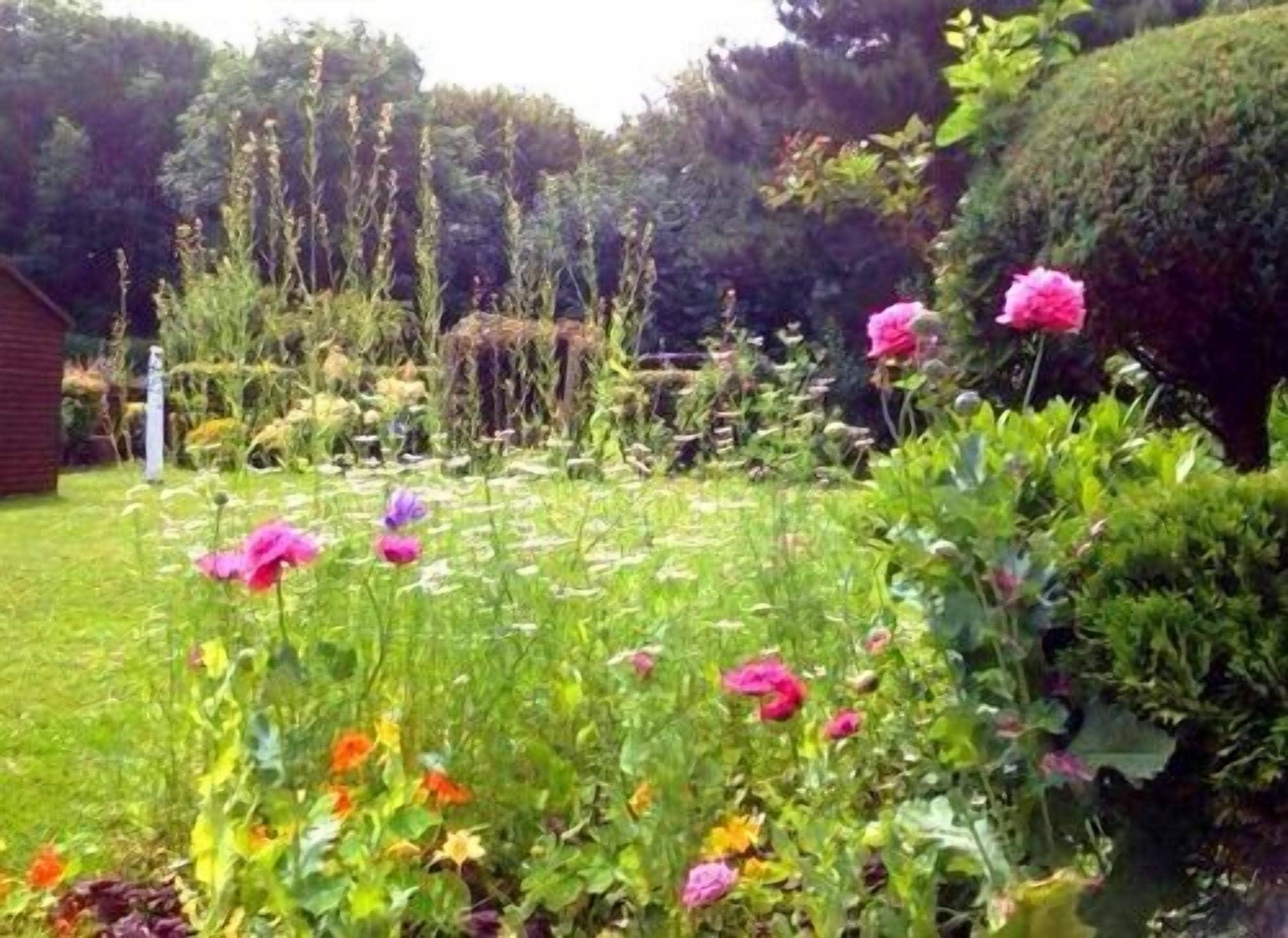 Comodidades del Alojamiento LA B and B Guest Accommodation