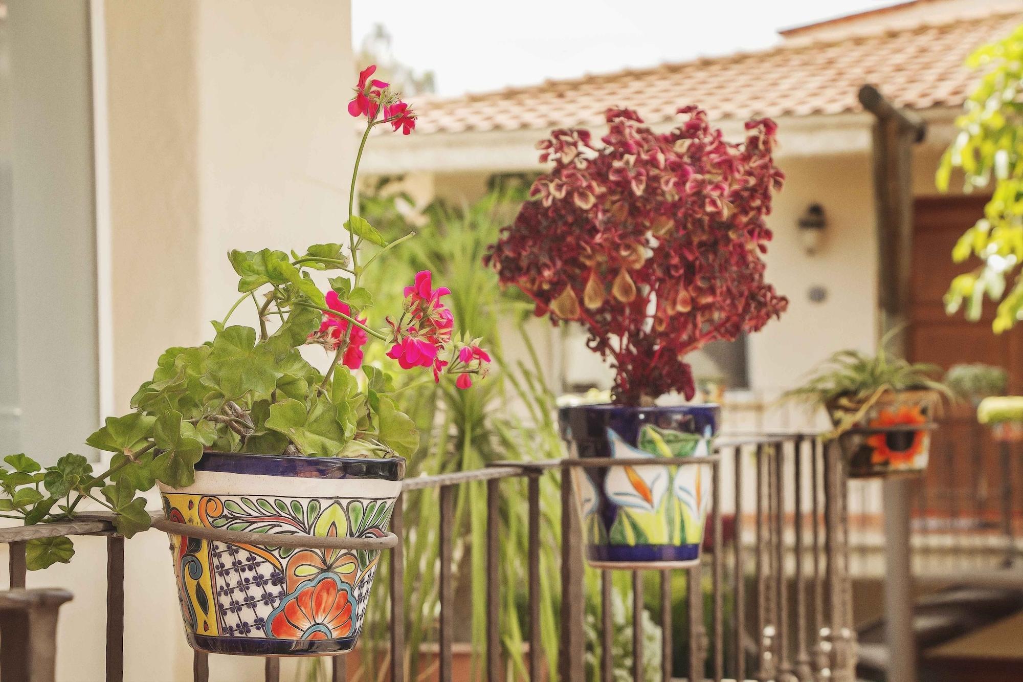 Comodidades del Alojamiento Alcazar Suites