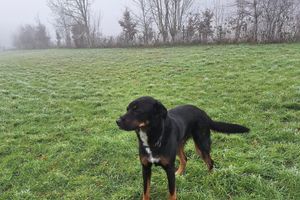 Alojamiento - Estuvi - La Sittelle Enchantée, a break in the countryside. bike shelter, animals ok