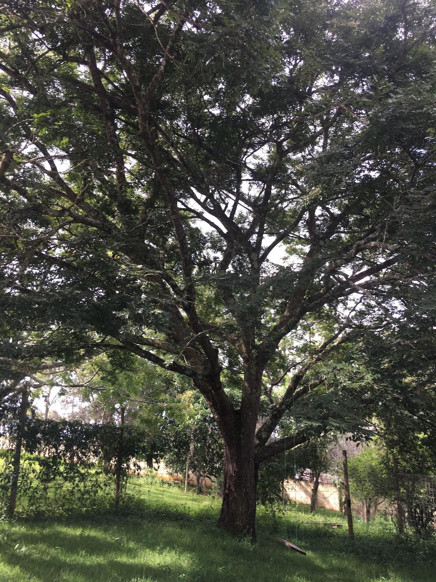 Vista Exterior Pousada Vale das Primaveras