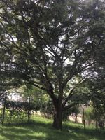 Alojamiento - Pousada Vale das Primaveras