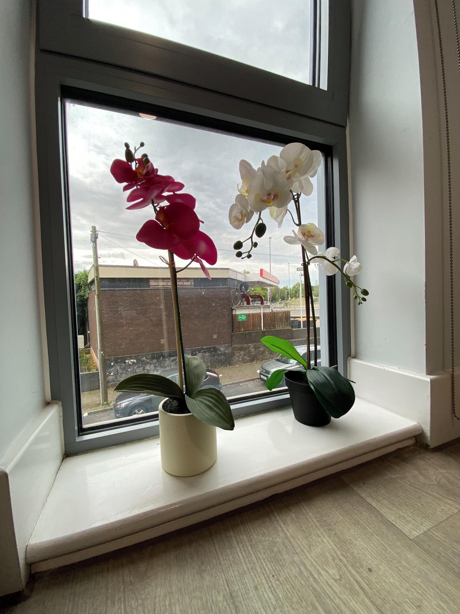 Habitación Vitality Hotels