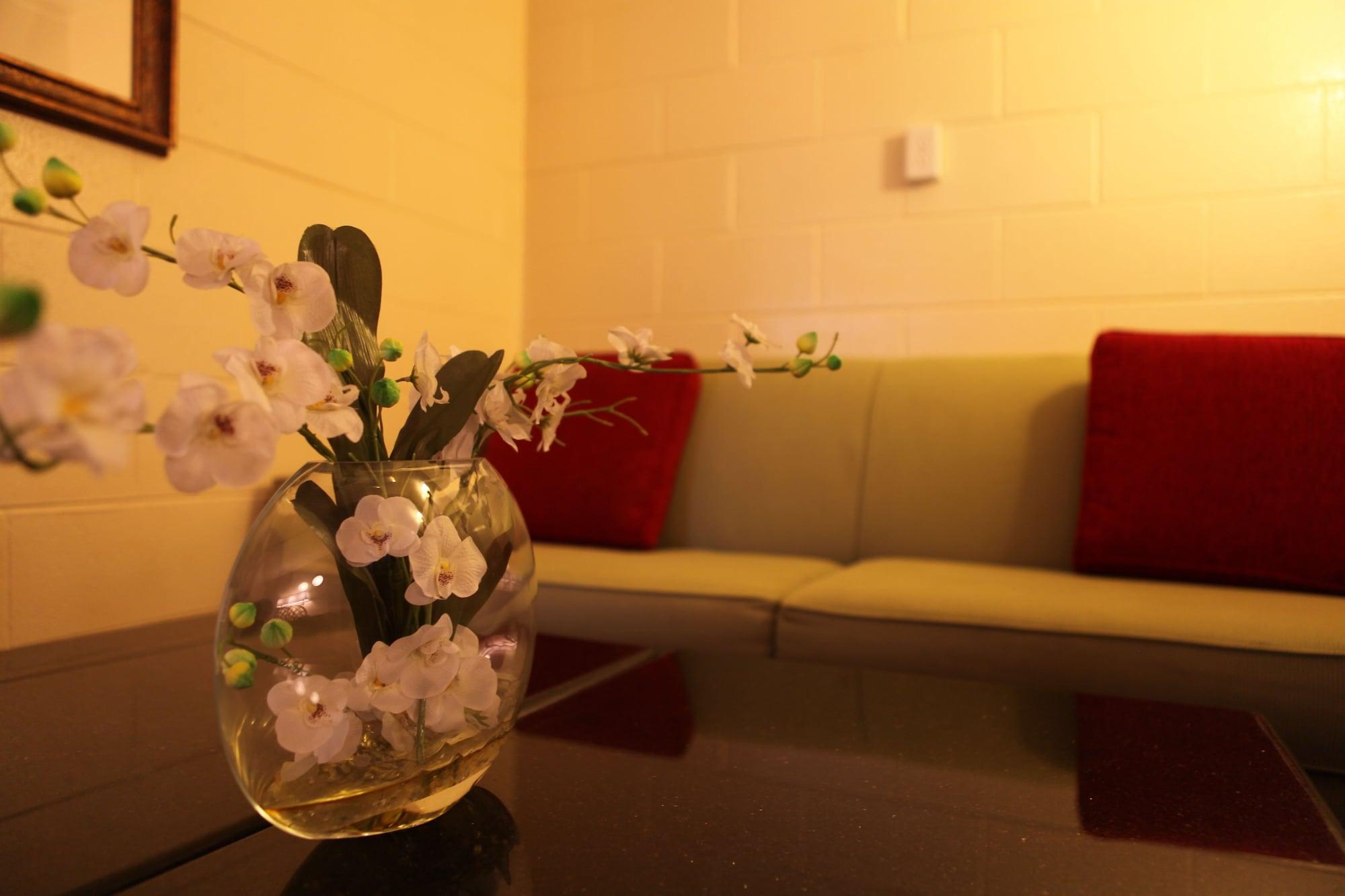 Comodidades del Alojamiento Arcadia Hotel