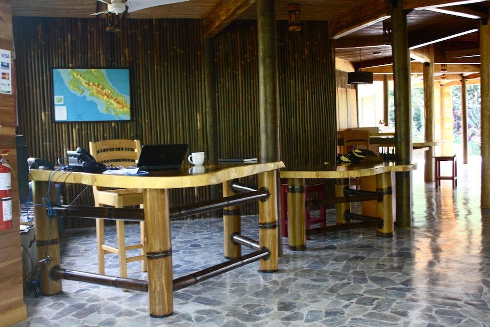 Vista Lobby Macaw Lodge
