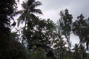 Alojamiento - Mombasa Beach Hotel