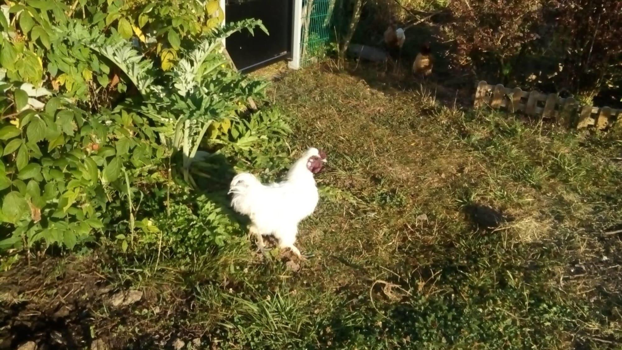 Vista Exterior Alaguyauder La Chambre