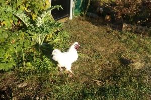 Alojamiento - Alaguyauder La Chambre